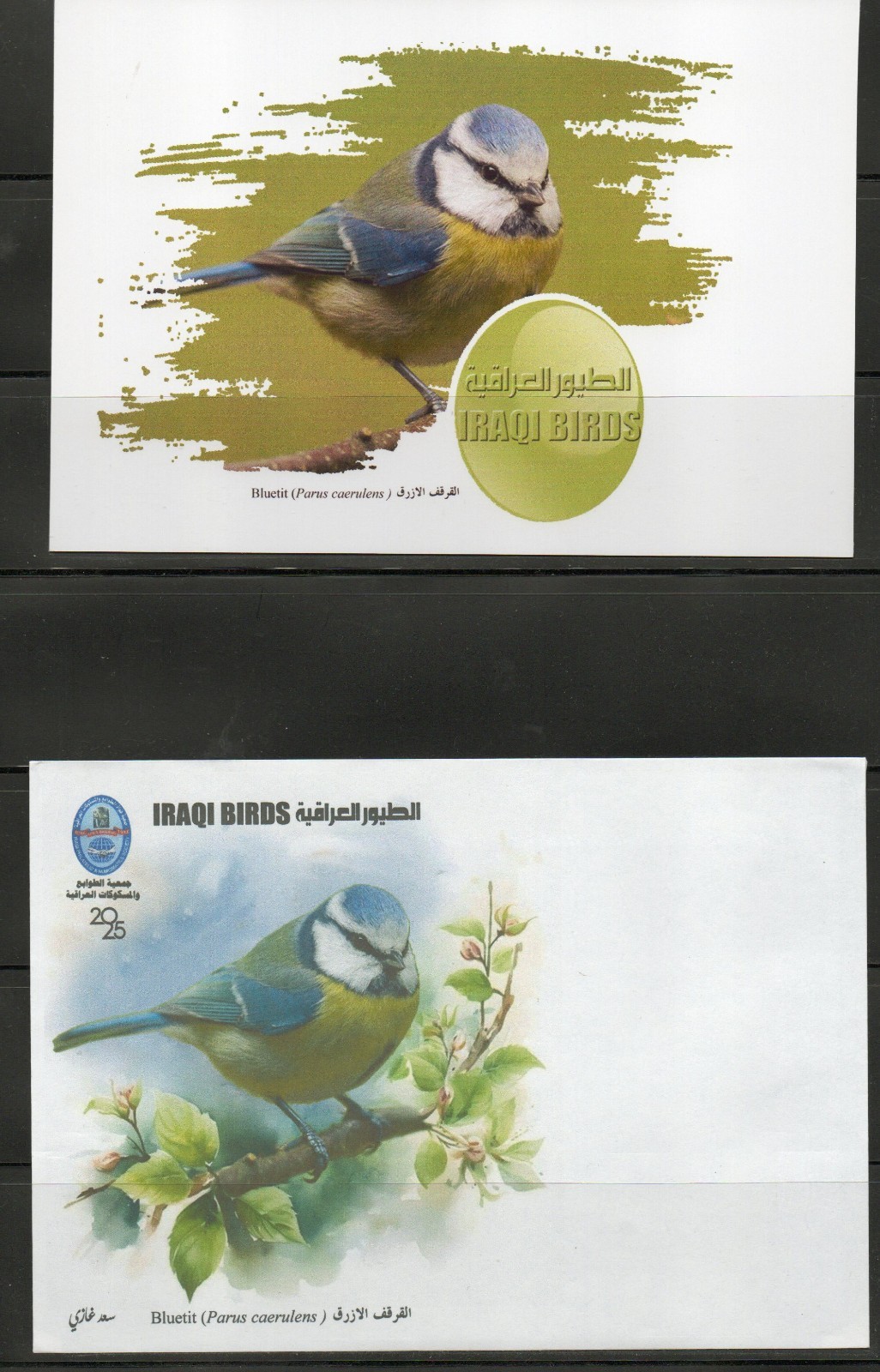Postcard issued by the Iraqi Philatelic Society featuring the( birds of Iraq).