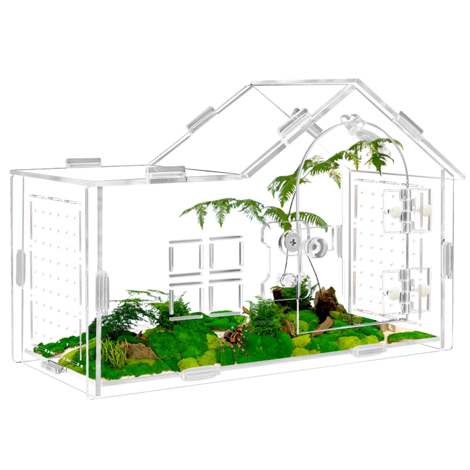 Acrylic Jumping Spider Enclosure Terrarium Versatile Reptile Tarantula Gecko