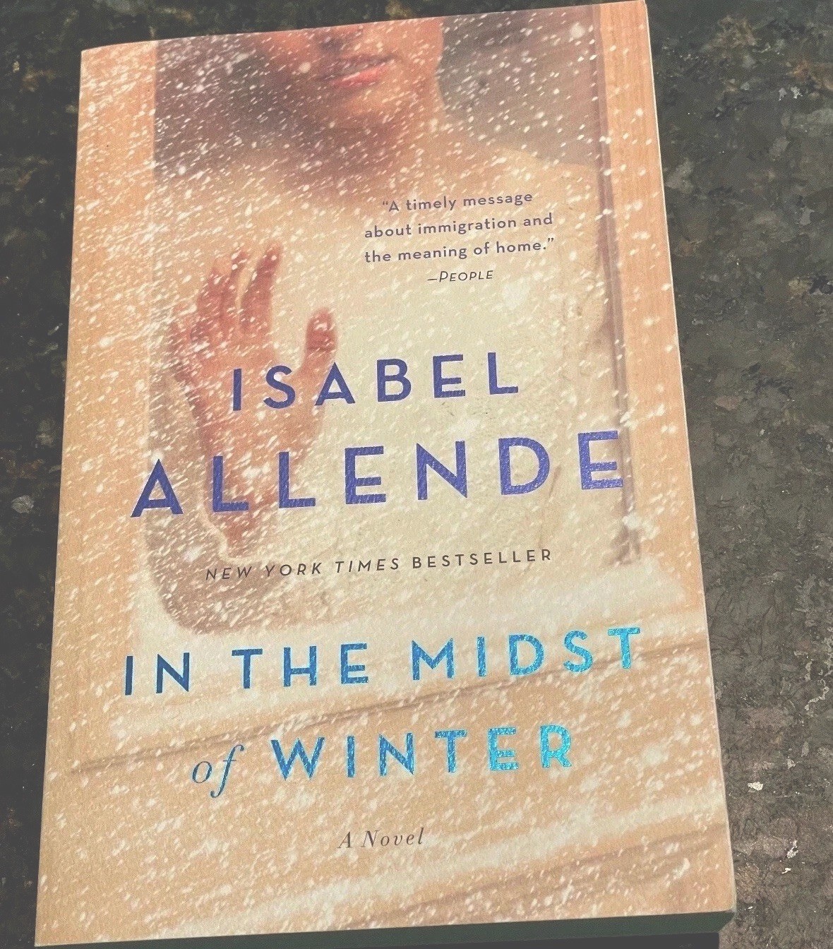 In the Midst of Winter by Isabel Allende NY Times Best Seller PB LIKE NEW