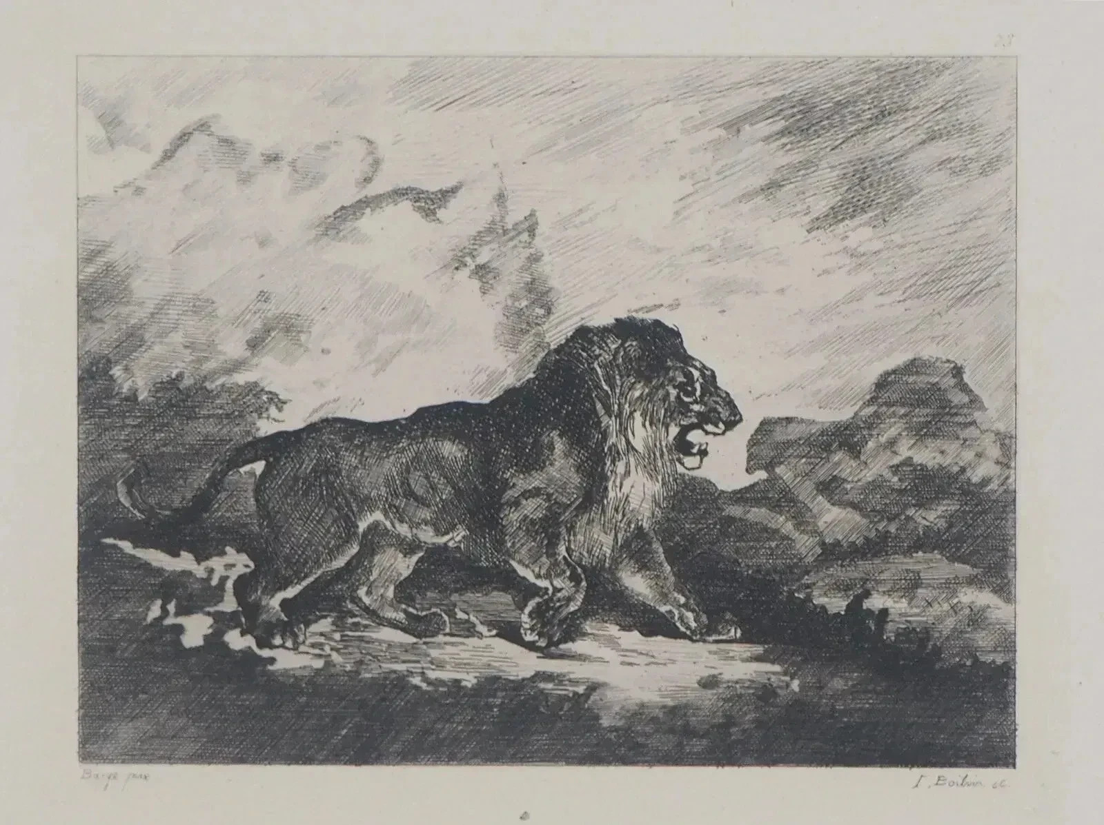 Antoine Luis Barye: Feline, Roaring Lion, Engraving Signed, Durand Ruel, 1873