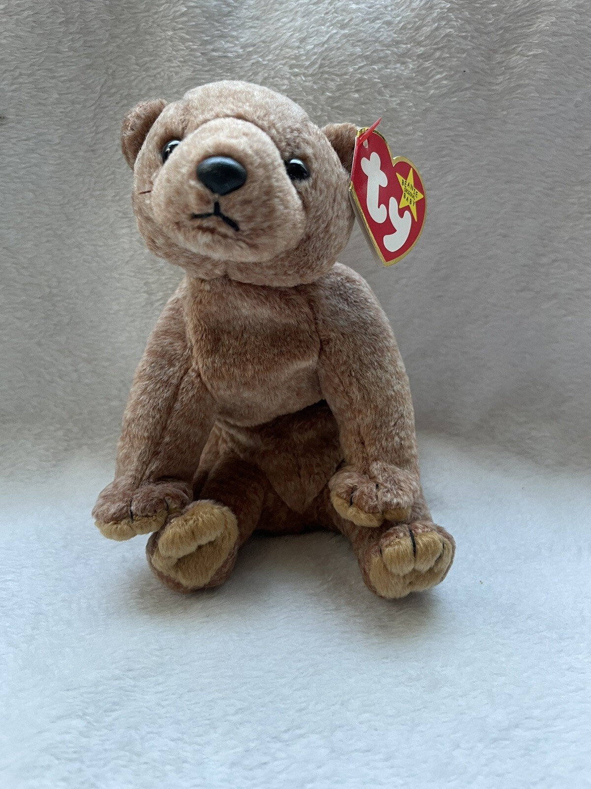 TY Beanie Baby Bean bag Plush Soft Toy Pecan Bear Retired 1999