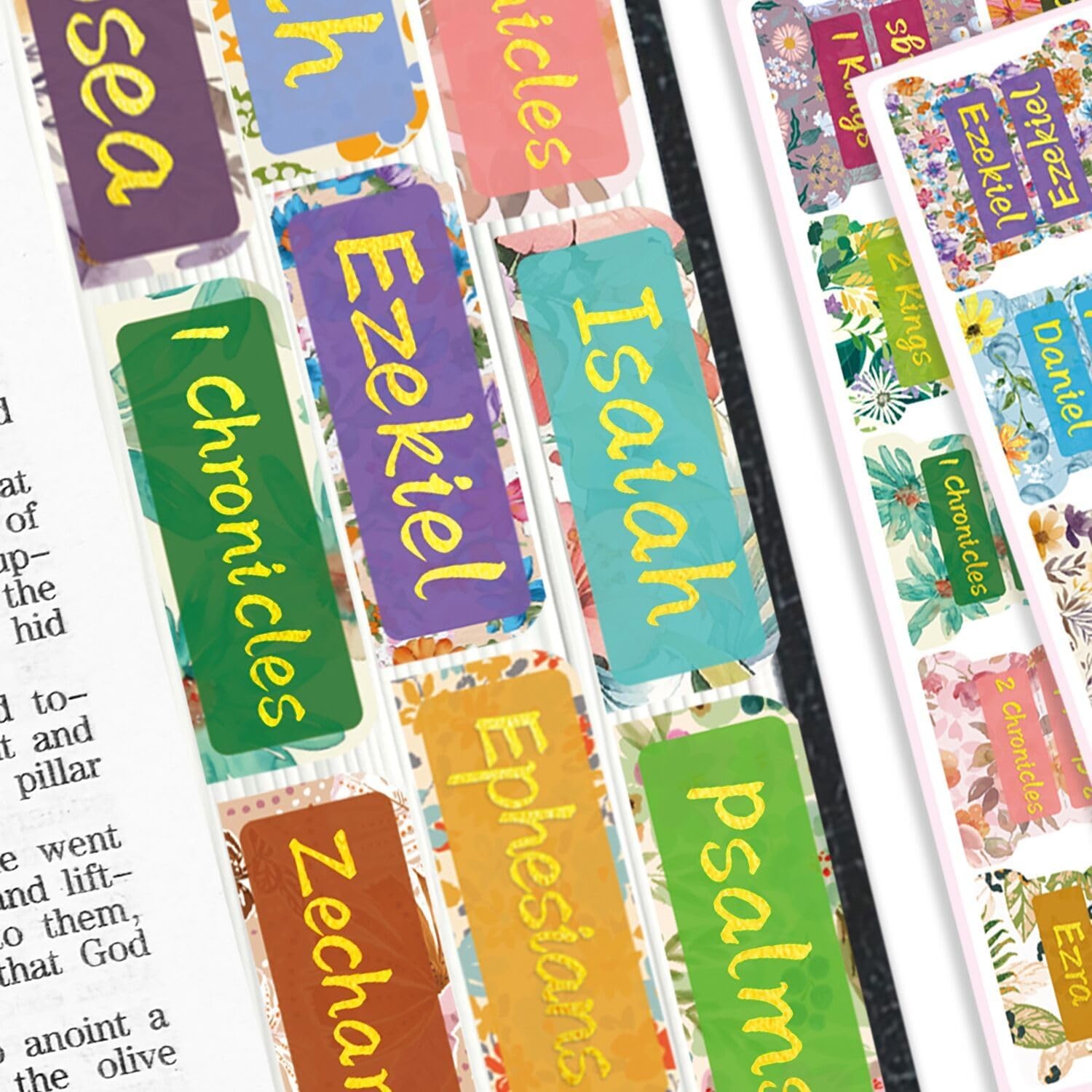 Holy Bible Tabs for Women and Men, 66 Standard, Gold Foil Lettering-garden 