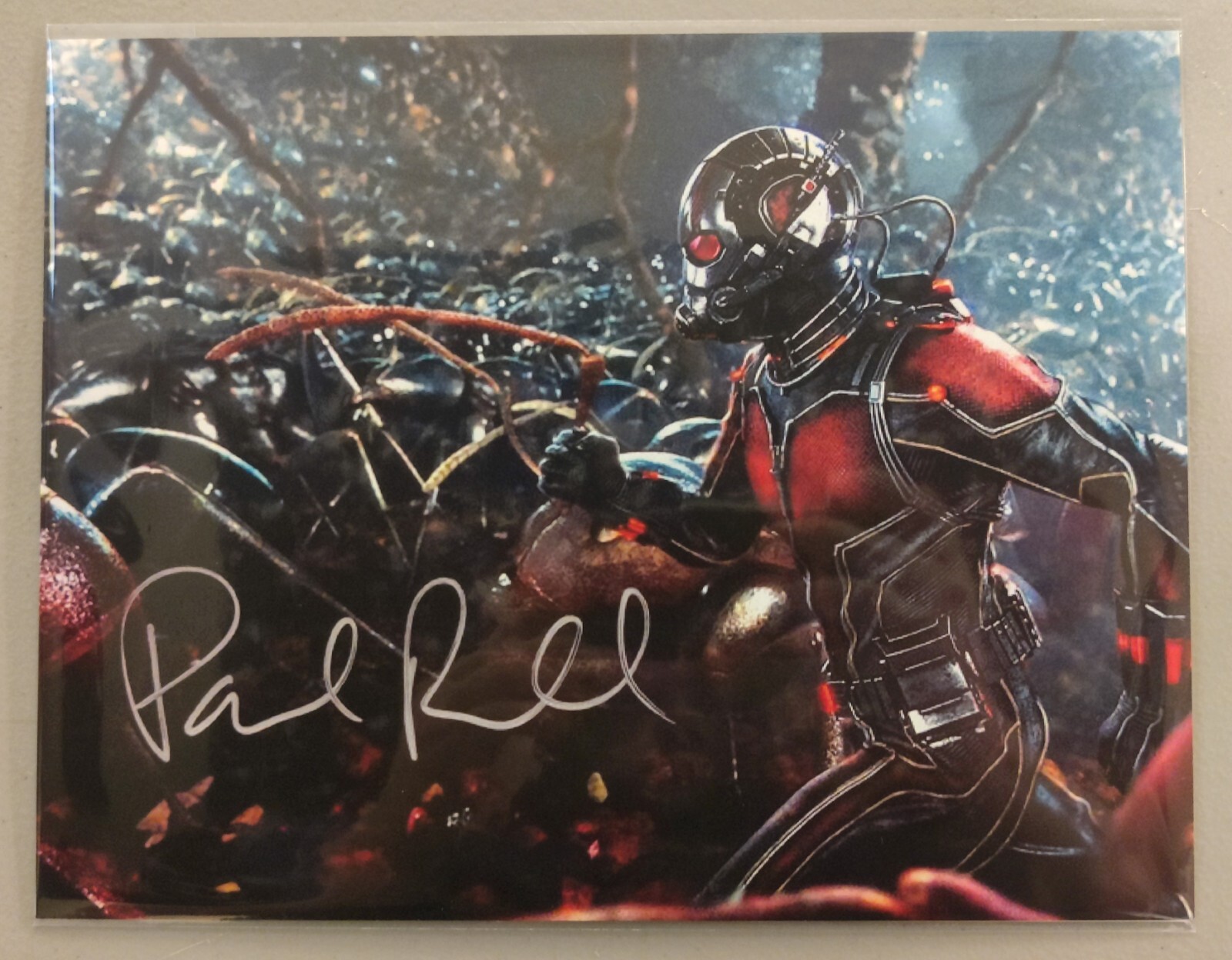 8.5"x11" Paul Rudd Autographed Photo Reprint ANT MAN Avengers Signed Marvel