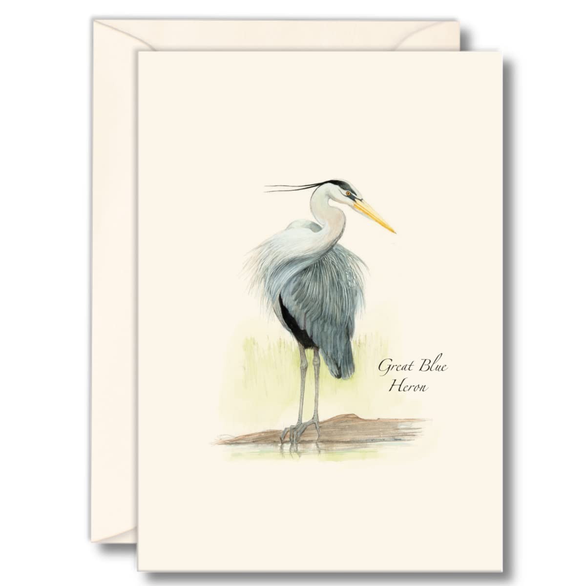 8 PCS Great Blue Heron II Bird Notecard Set Blank Cards Envelopes Letter