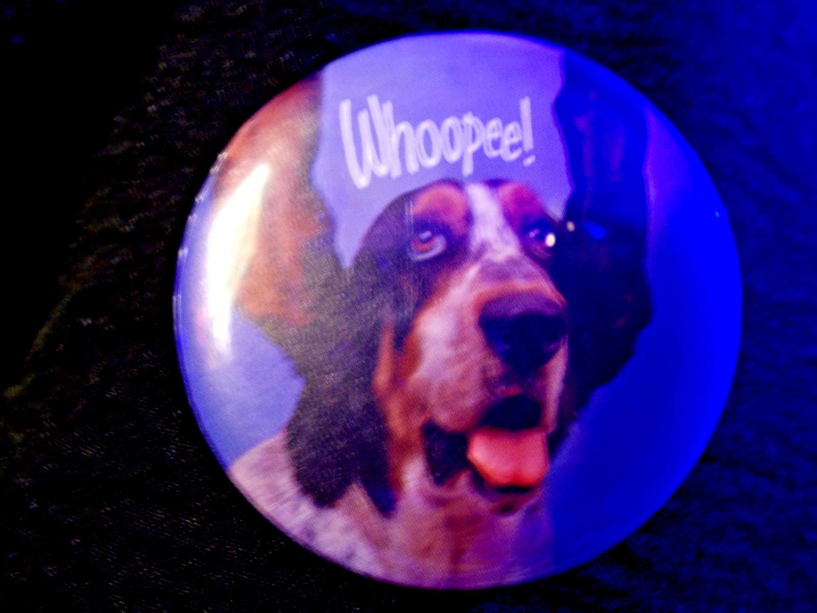Hallmark LOVE DOT 1973 Pinback Button - DOG "Whoopee!" 2.5"