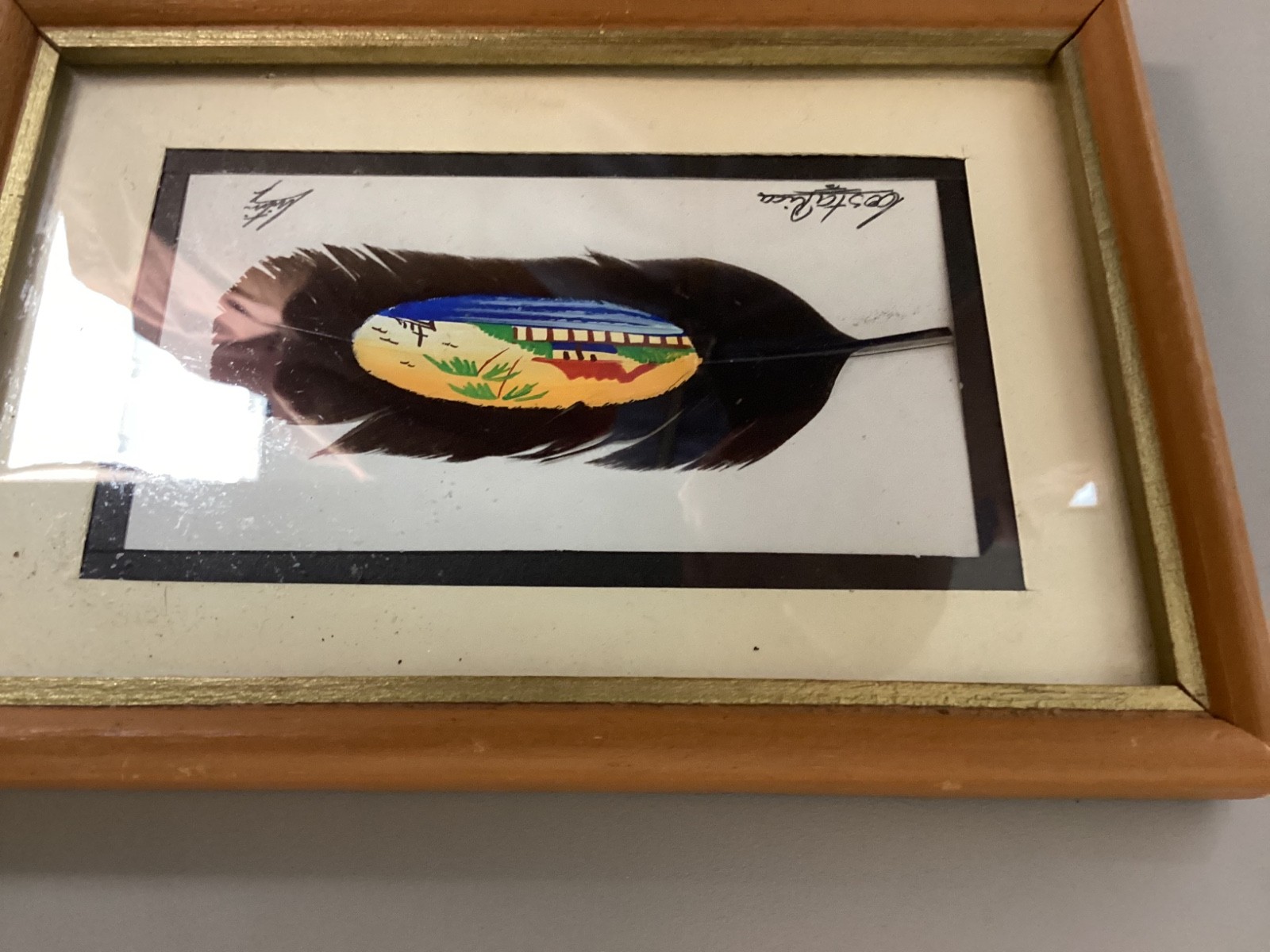 costa Rican Painted feather