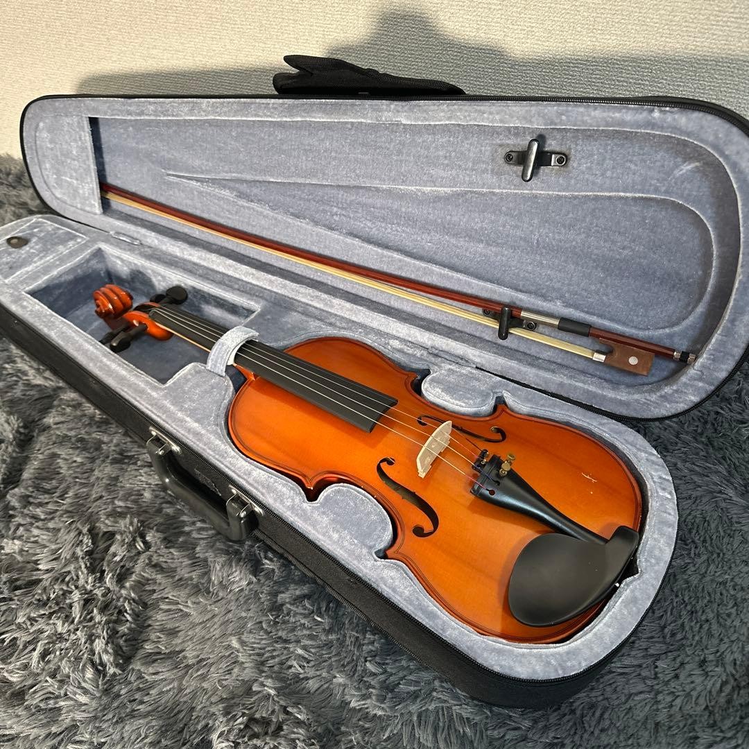 Hallstatt V-10 Violin 4/4 Size Case Bow Included String Instrument