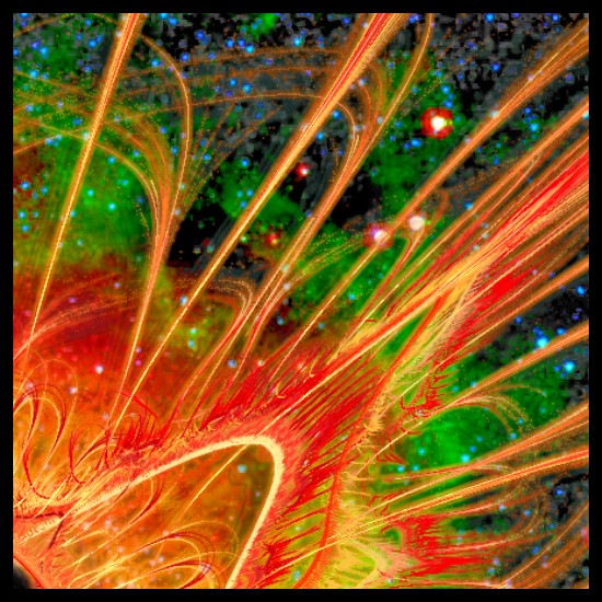 NFT - Cosmic Butterfly Phoenix - Crypto - Fun - Authentic - Affordable - NFT Art