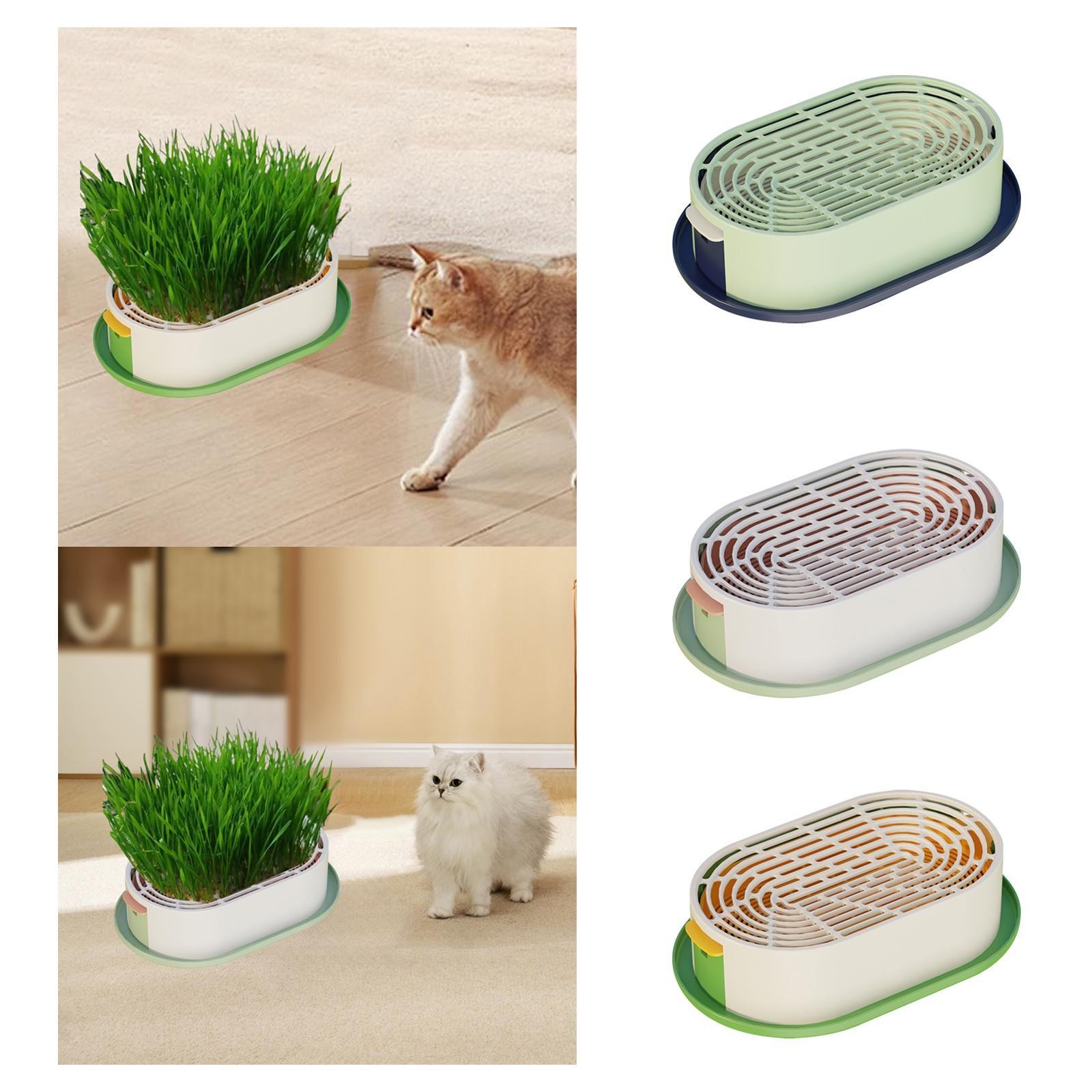 Cat Grass Planter Box with Starter Tray Sprouting Tray Sturdy Versatile
