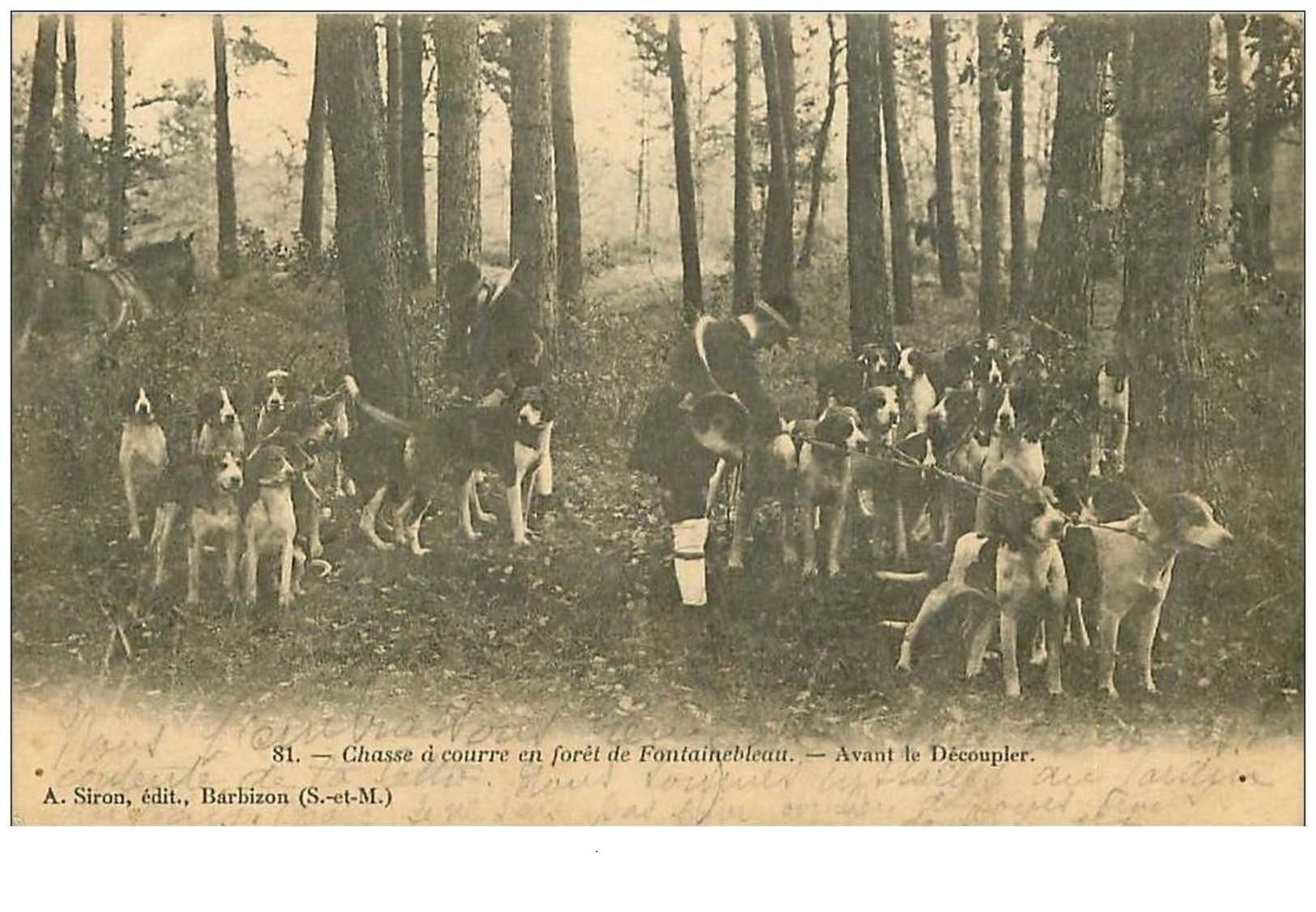 HUNT No. 12270. HUNTing In The Forest Of Fontainebleau. Before Decoupling