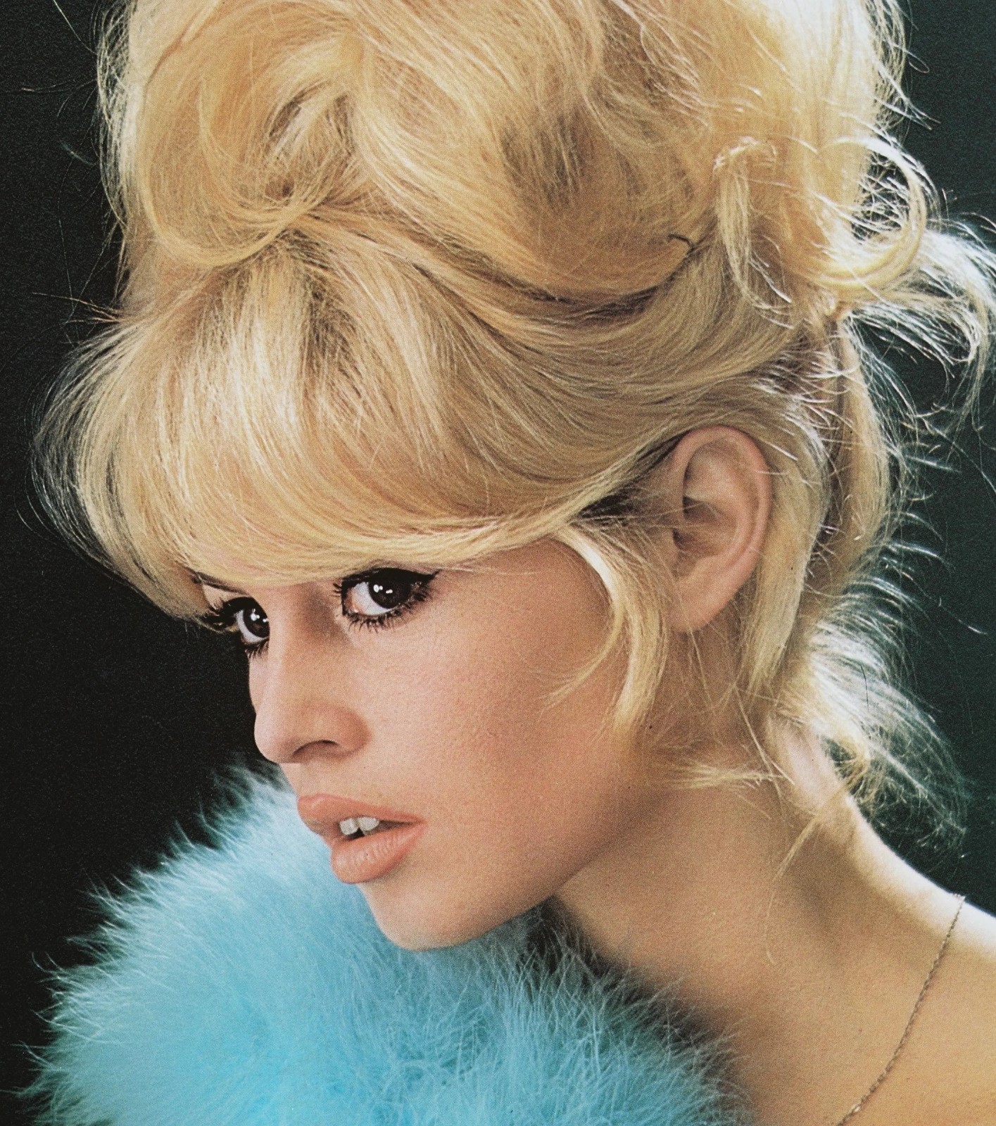 Actress Brigitte Bardot Close up Glamour Portrait Picture Photo 6x8