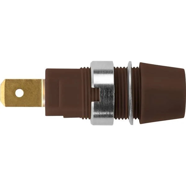 Schützinger DI SAB 7560 Au / BR Surface Mount Safety Socket Marr