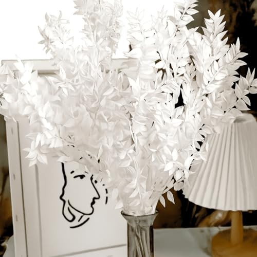 7 Pcs Natural White Italian Ruscus Eucalyptus, 16'' Eucalyptus Dried Flower 