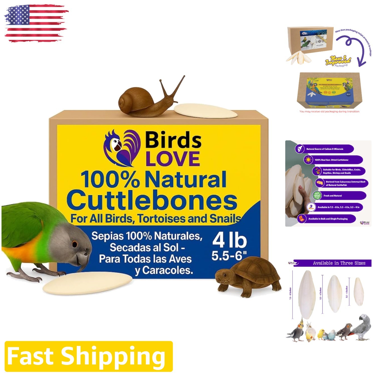 4lb Cuttlebone for Birds, Parrots, Tortoise - Beak Health Supplement