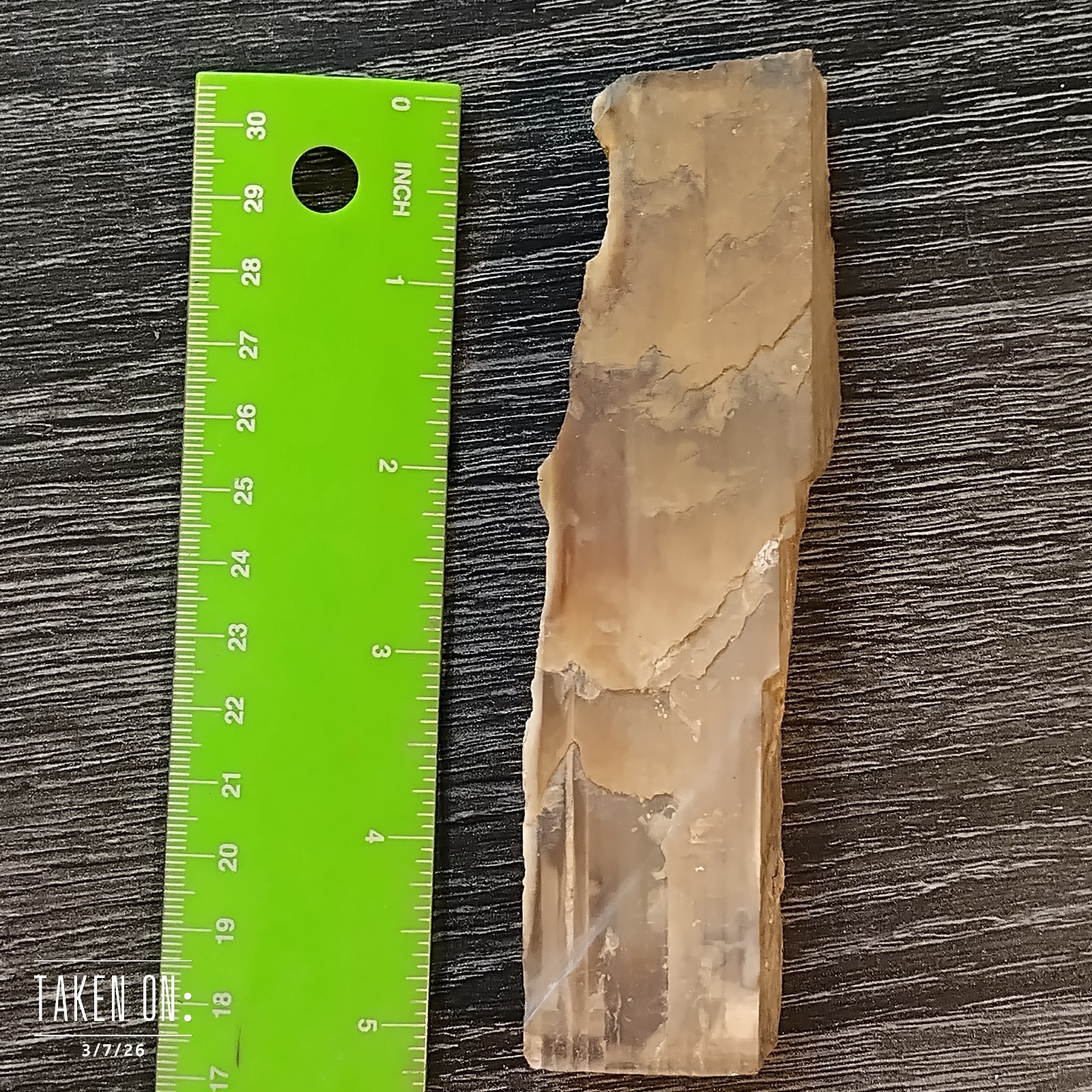 Petrified Wood Fossil Specimen Slab Approx. 6 Inches Long