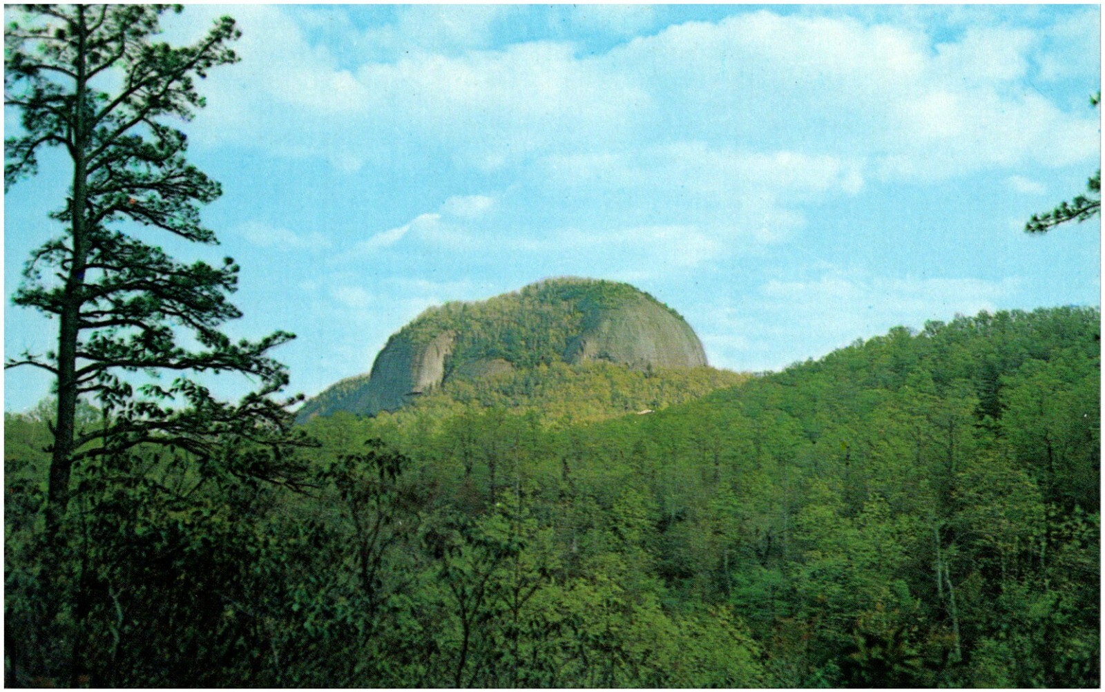 Looking Glass Rock Pisgah National Forest North Carolina 1960s Chrome Postcard