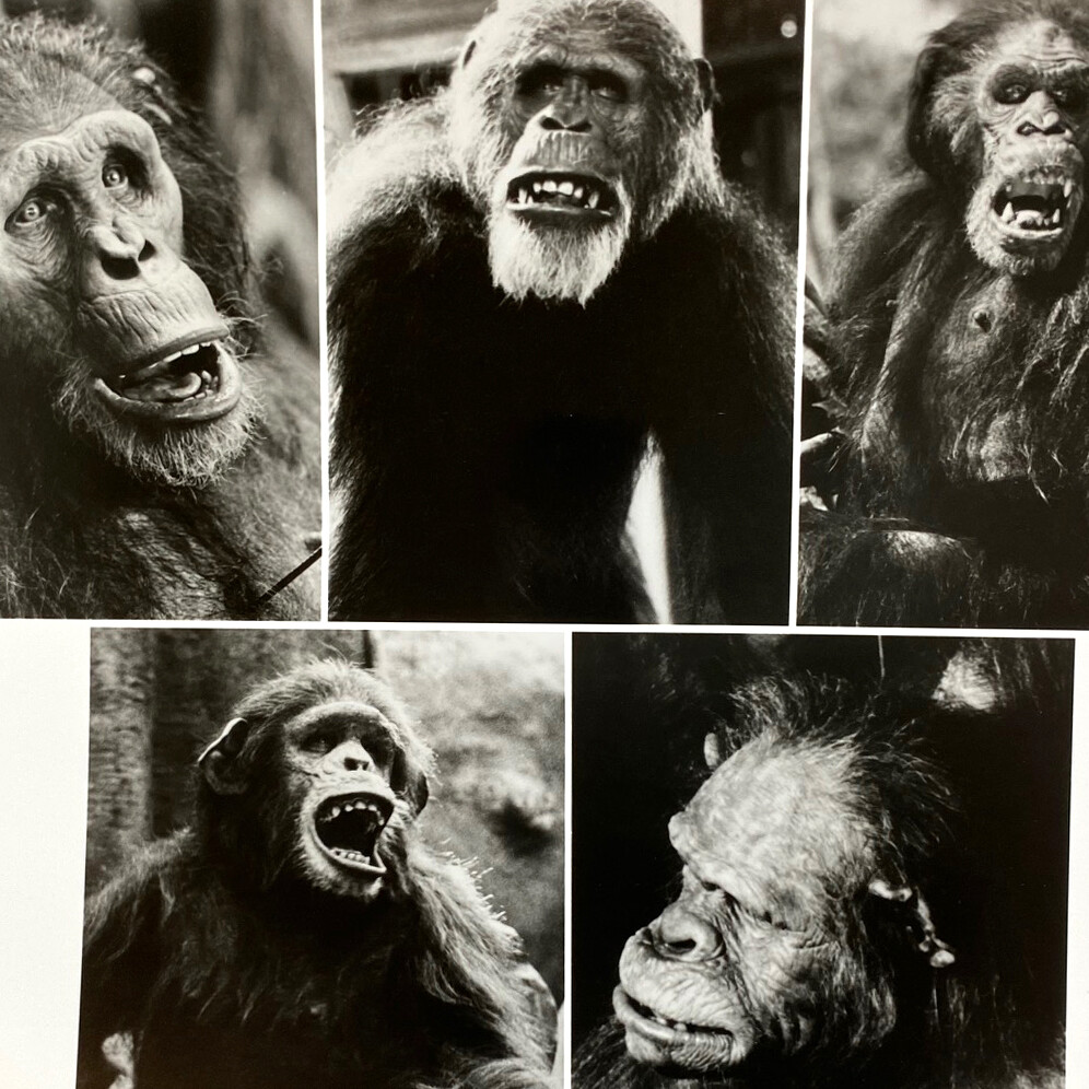 1984 Christopher Lambert Andie MacDowell Greystoke Tarzan Press Kit Photo #4