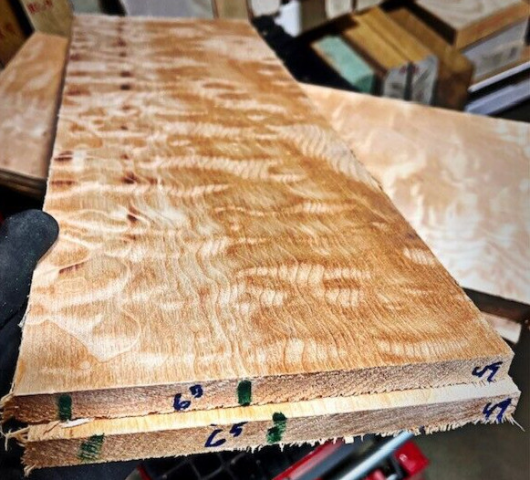 1/2" DENSE Quilted Maple🍁Quilt Bookmatch KD Big Leaf 19"x13"x.5" Fig Carve Top