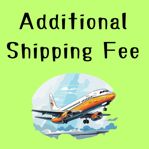 Additional Shipping Fee / Extra Postage Payment for Existing Order