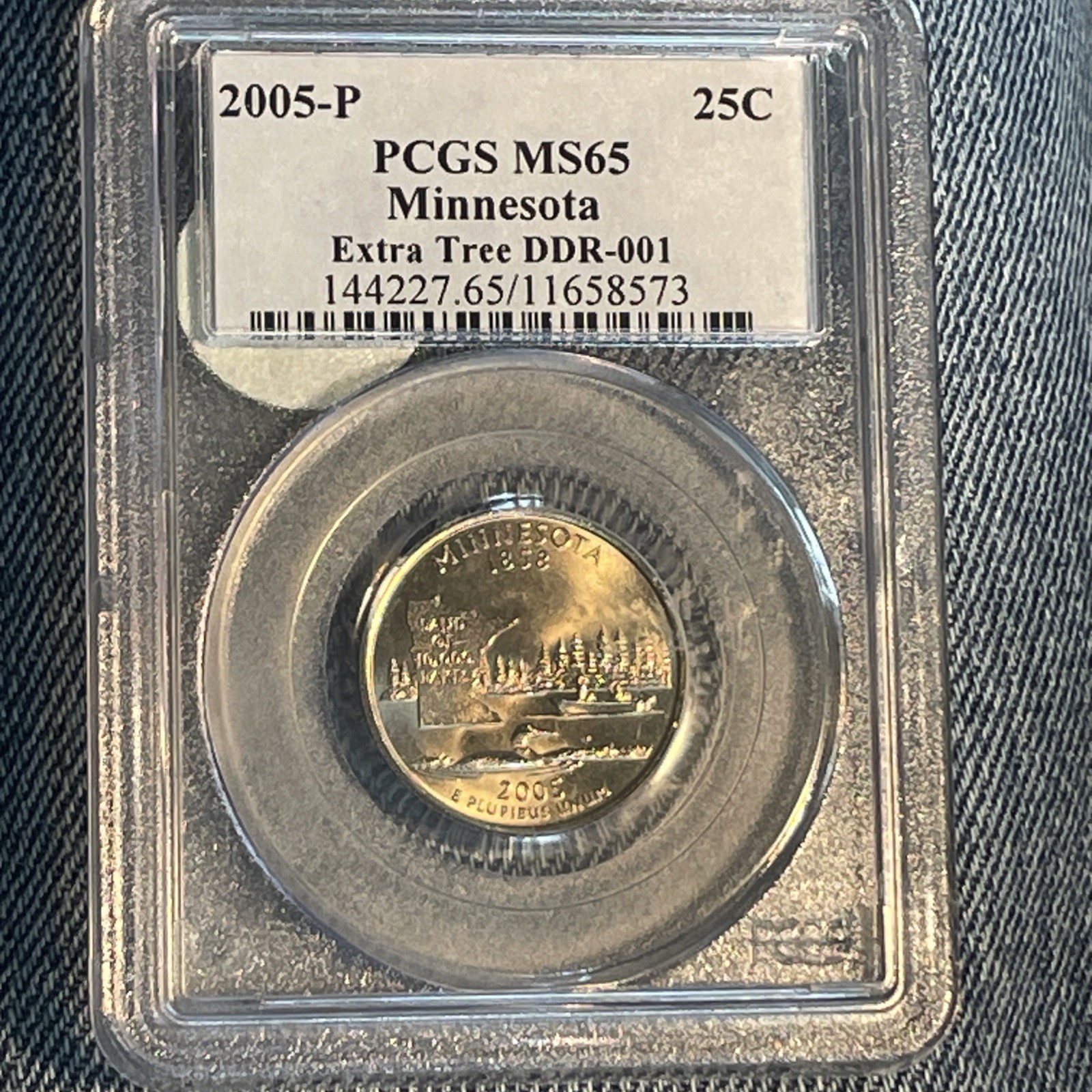 2005-P Minnesota Satin Finish Extra Tree PCGS MS65 DDR-001 Washington Quarter🔥