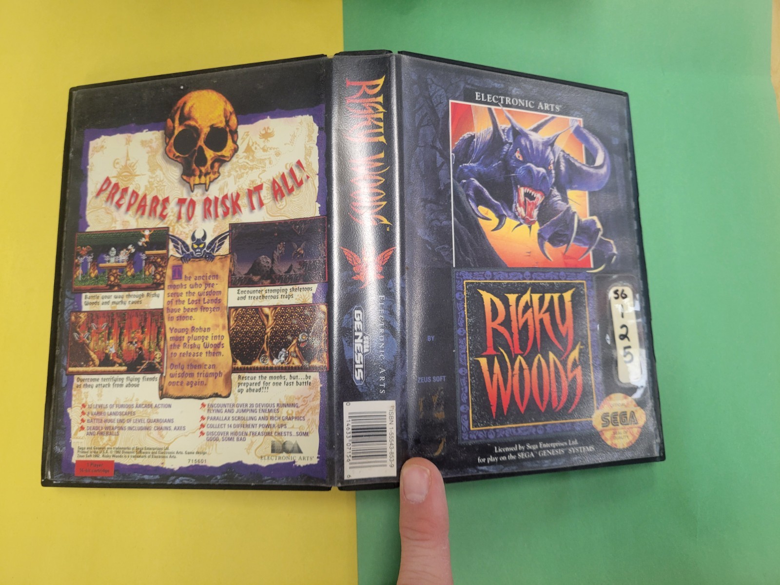 Risky Woods (Sega Genesis, 1992) Game and Box Only 