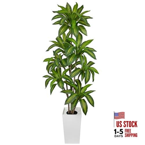 6FT Tall Artificial Dracaena Tree, Lifelike Faux Indoor Fake Floor Green 6 Ft
