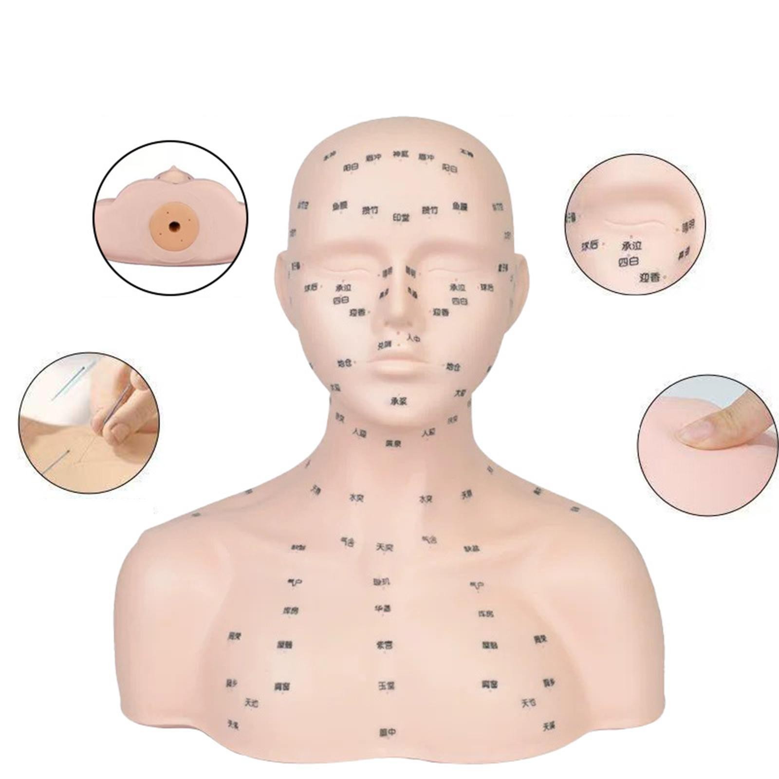 Mannequin Head with Acupressure Point Professional Lightweight Realistic