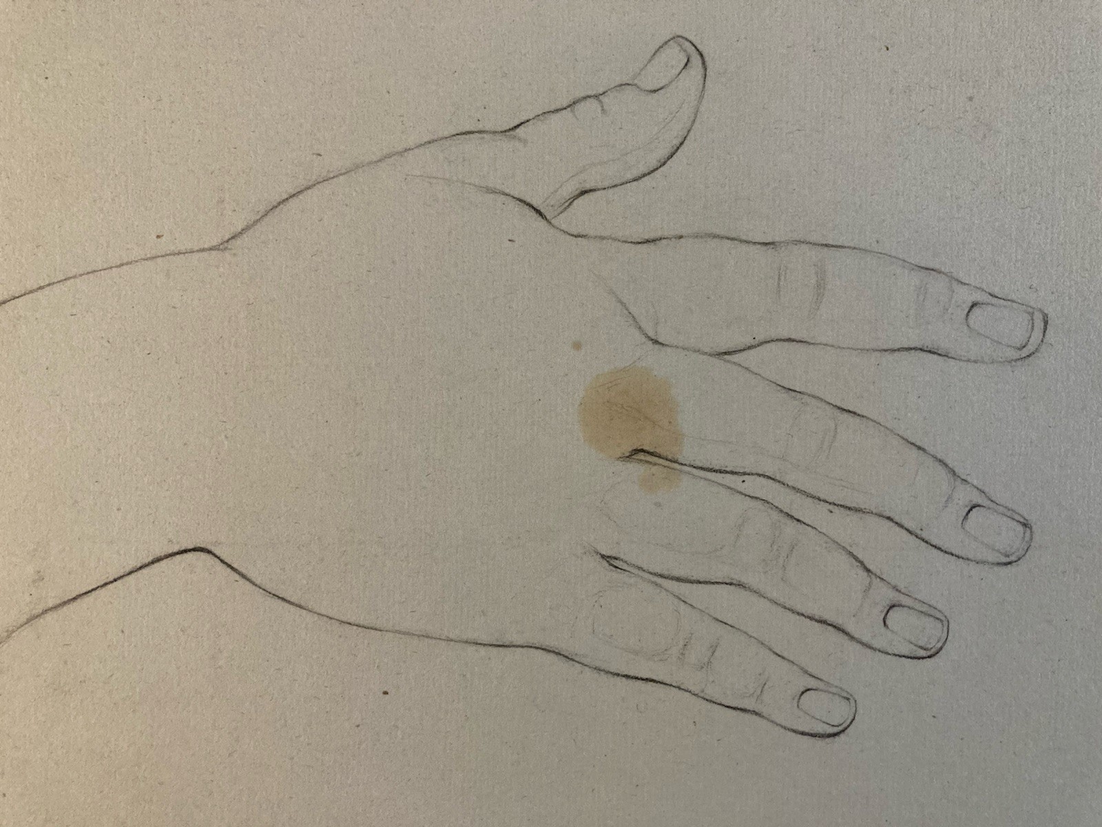 Beau dessin anatomie mine plomb XIXe Main Art Ancien 1850 Doigt École Française