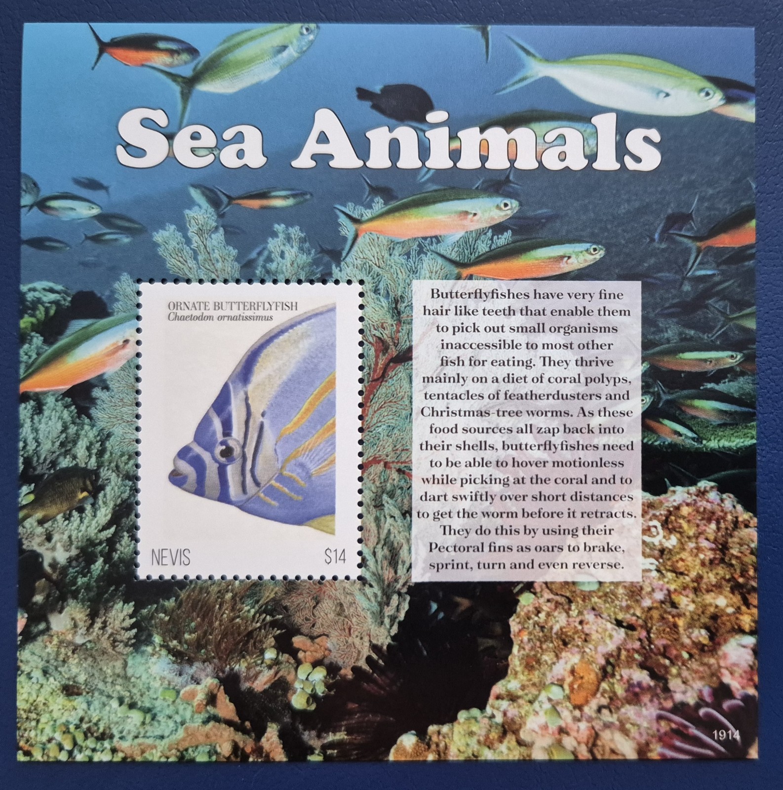 Nevis 2020 Marine Life - Sea Animals / 1v ms