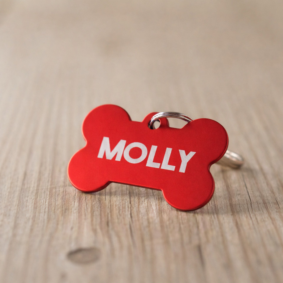 Custom Engraved Metal Dog ID Tag Personalized Pet Tag for Dogs & Cats