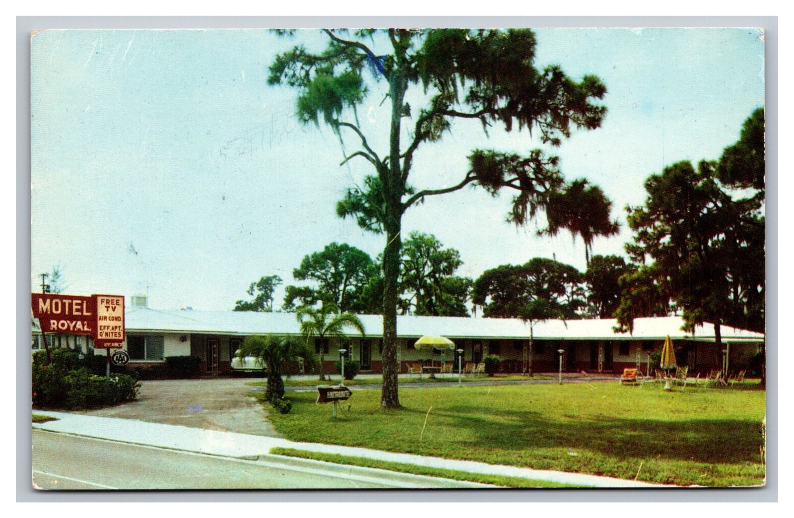 Sarasota FL Florida Motel Royal Street View Chrome Postcard Posted 1960