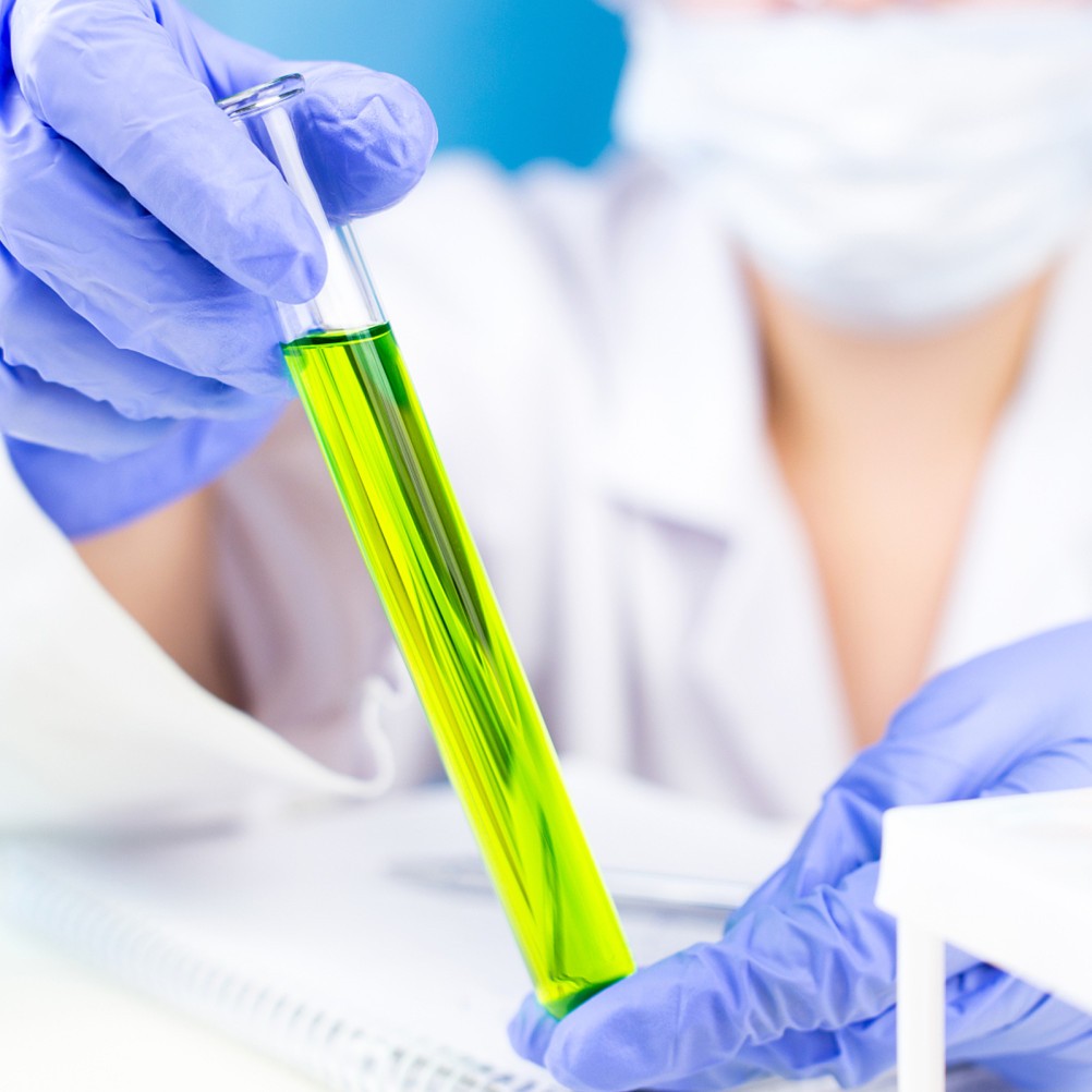  4 Pcs Propagation Stations Test Tube Glass Tubes for Scientific Purposes Mini