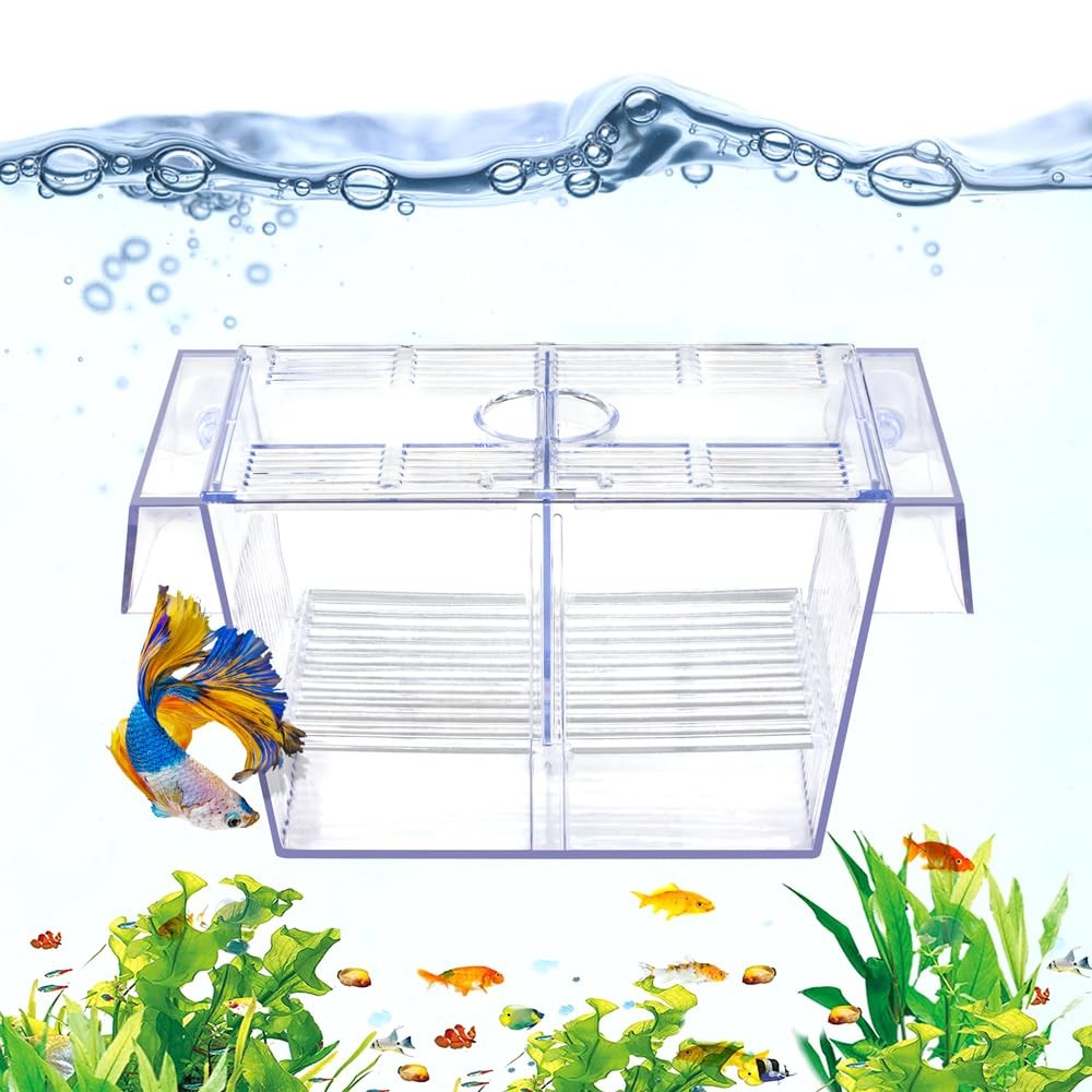 DaToo Fish Breeding Box Aquarium Holding Tank Transparent 