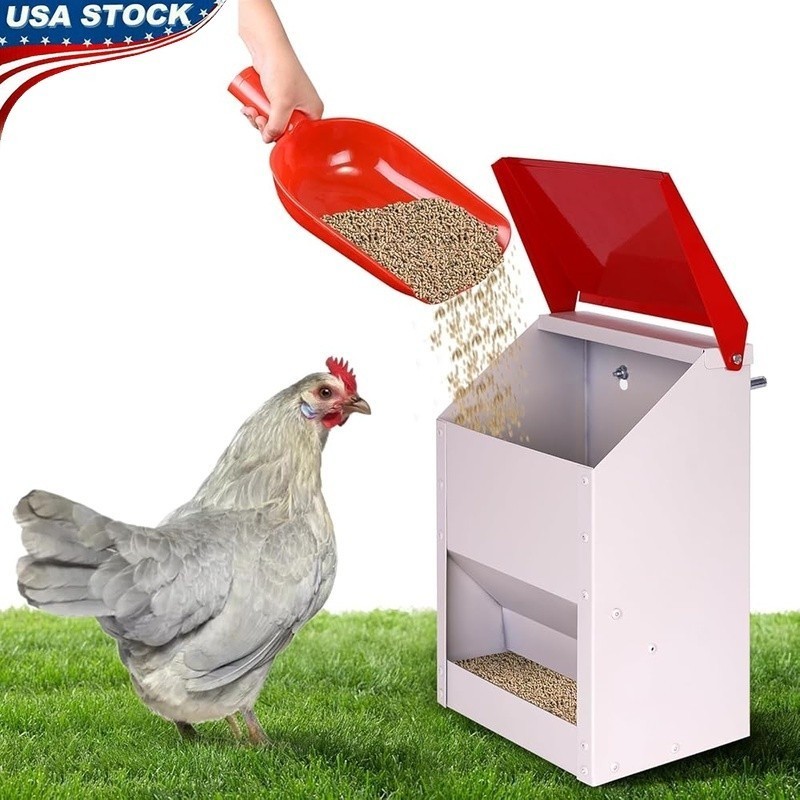 Galvanized Chicken Feeder Wall Mount No Waste Metal Poultry Feeding Station New