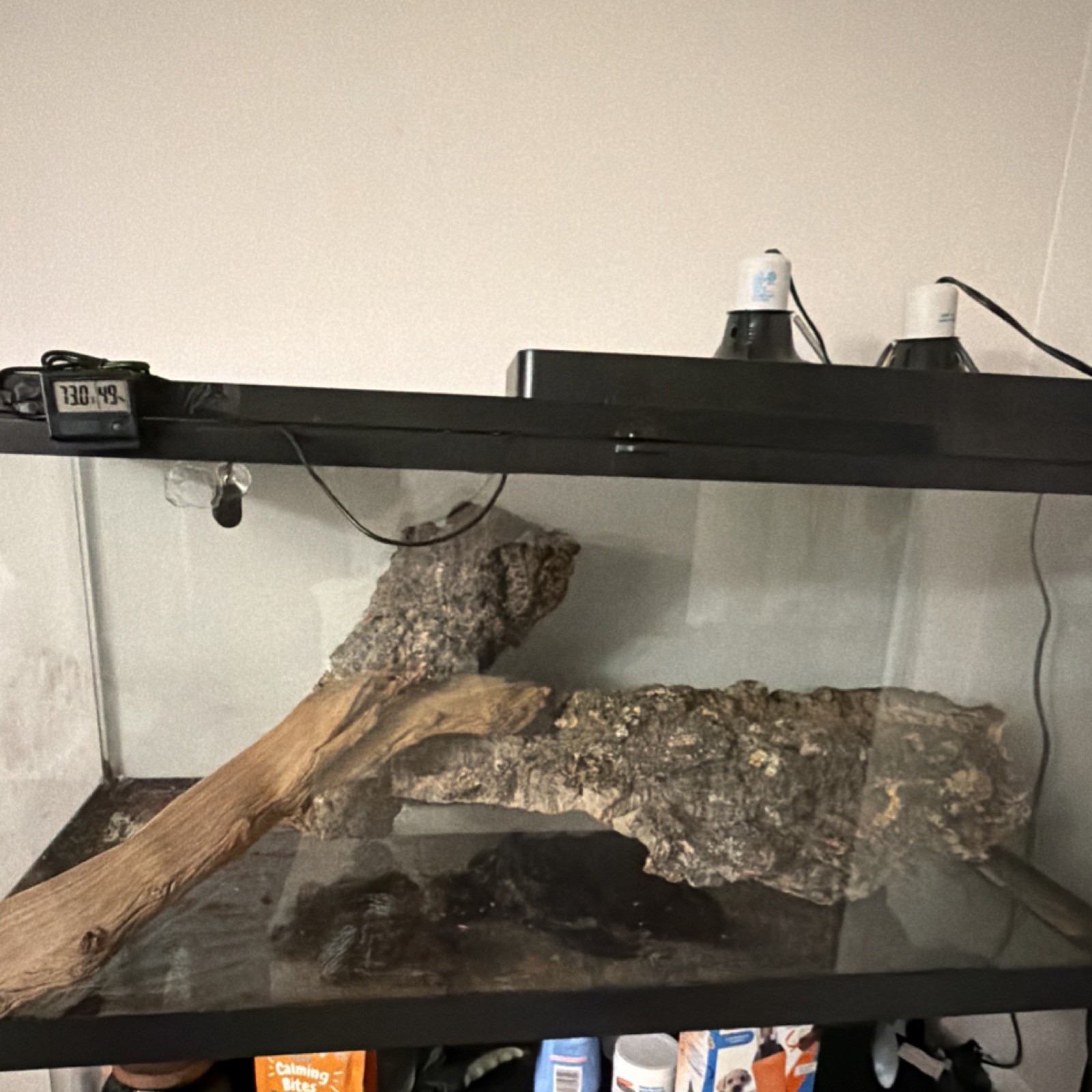 Glass Rectangle Tank with Mesh Top, Heat Lamp, Thermometer, Wood, Bark