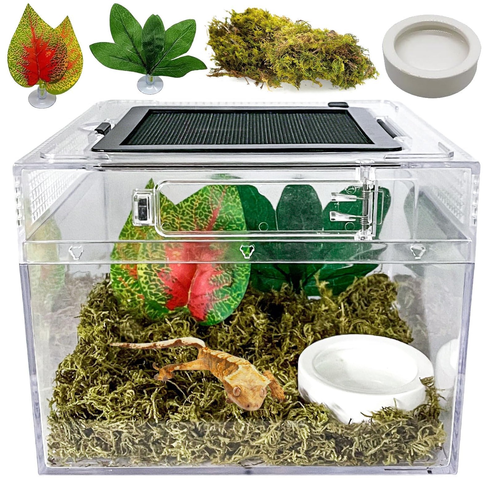 Reptile Terrarium, Jumping Spider Enclosure Starter Kit, Leopard Gecko Habita...