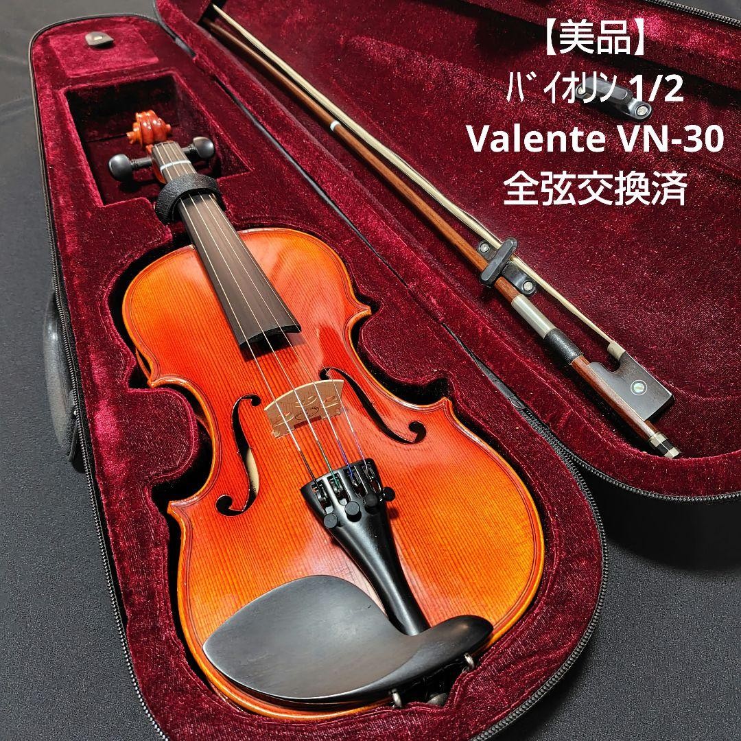 [Good Condition] Valente Violin VN-30 1/2 All strings replaced Back plate Tiger