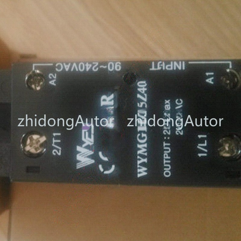 NEW 1PC FOR WOONYOUNG relay WYMG1C25Z40 #ZD