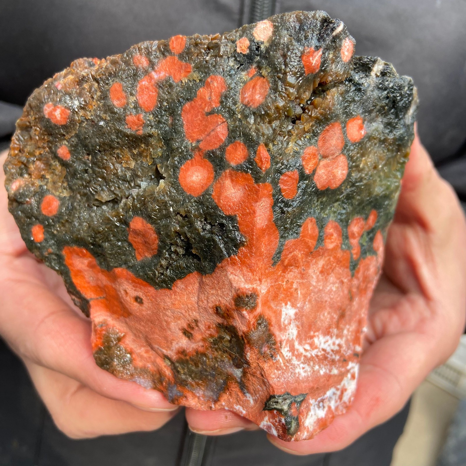 1.7LB  Natural Ocean Jasper Rough Freeform Quartz Crystal Mineral Specimen