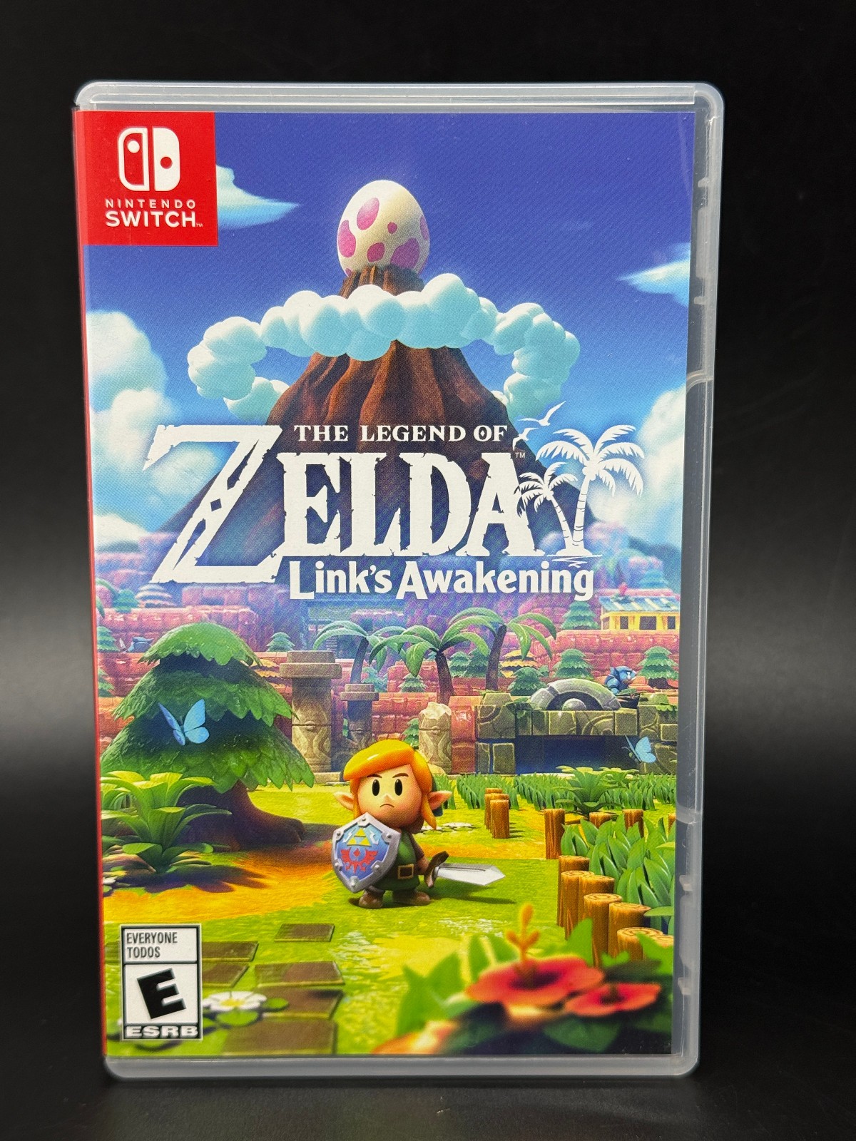 The Legend of Zelda: Link's Awakening (Nintendo Switch) *EMPTY CASE ONLY - OEM*