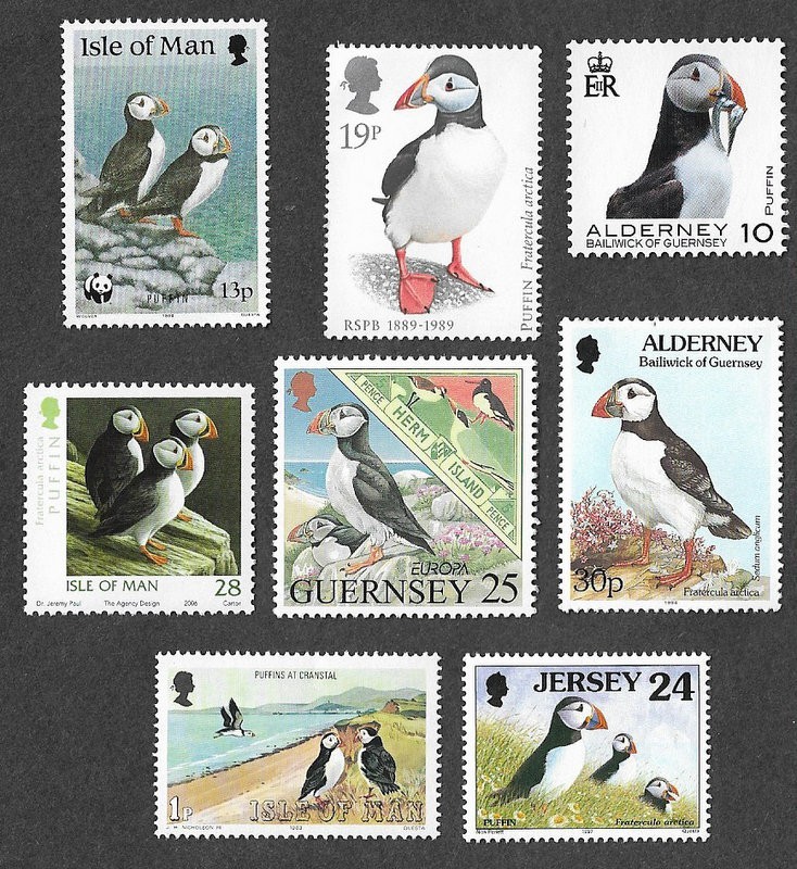 Puffins Birds nature collection mnh