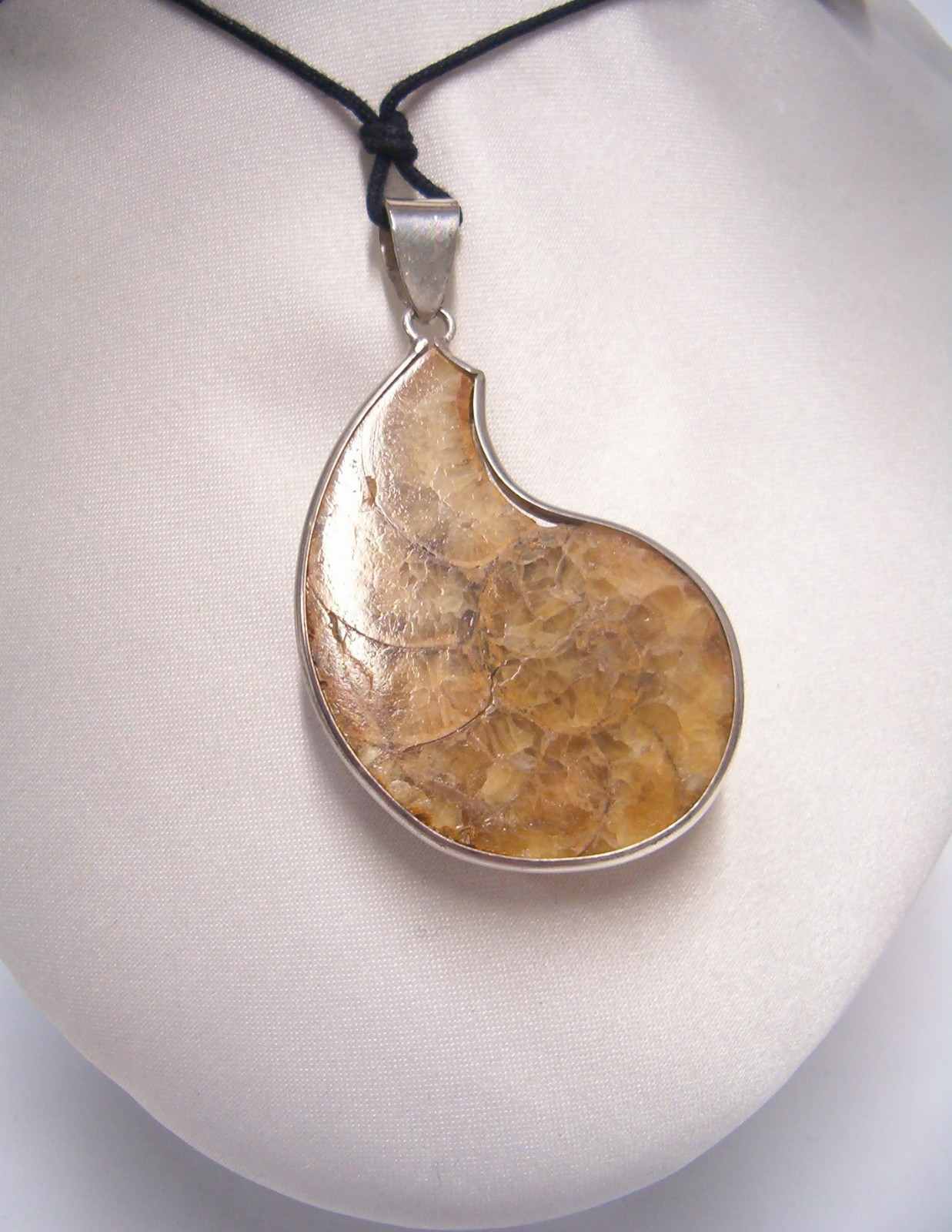 925 Silver Pendant With Fossil Ammonite And Necklace