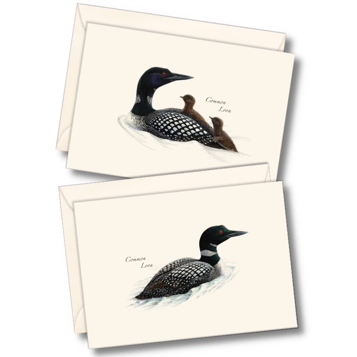 8 PCS Loon Bird Assortment Notecard Set Blank Cards Envelopes Stationery