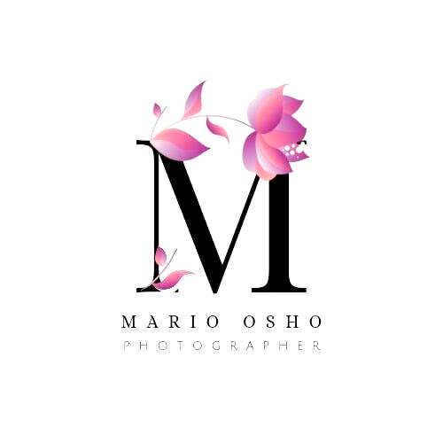 business trusted logo design revision source file service vector + professional 