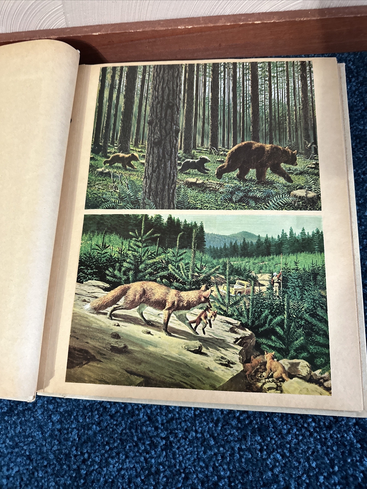 Scrap Book, Animals,  Scenery Prints Of Don Blake
