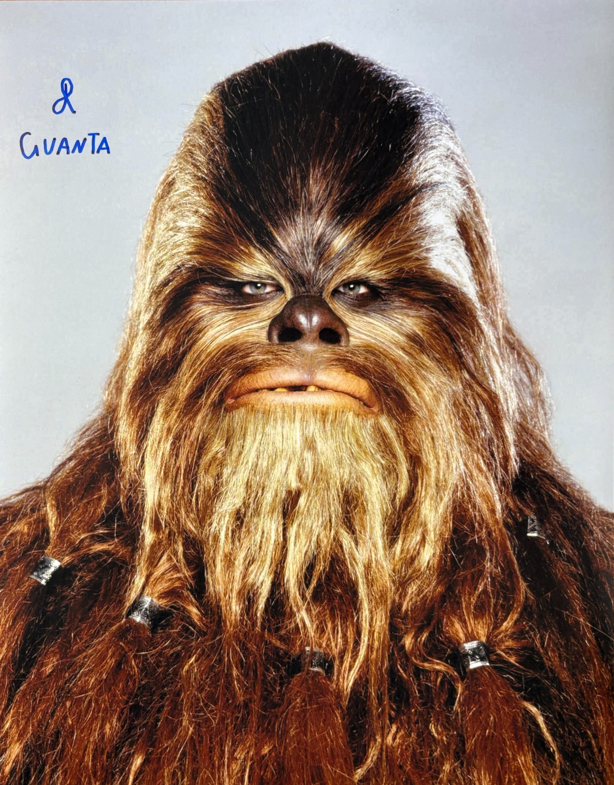Star Wars James Rowland Guanta Wookiee Autograph 11x14 Photo -GENUINE Signed