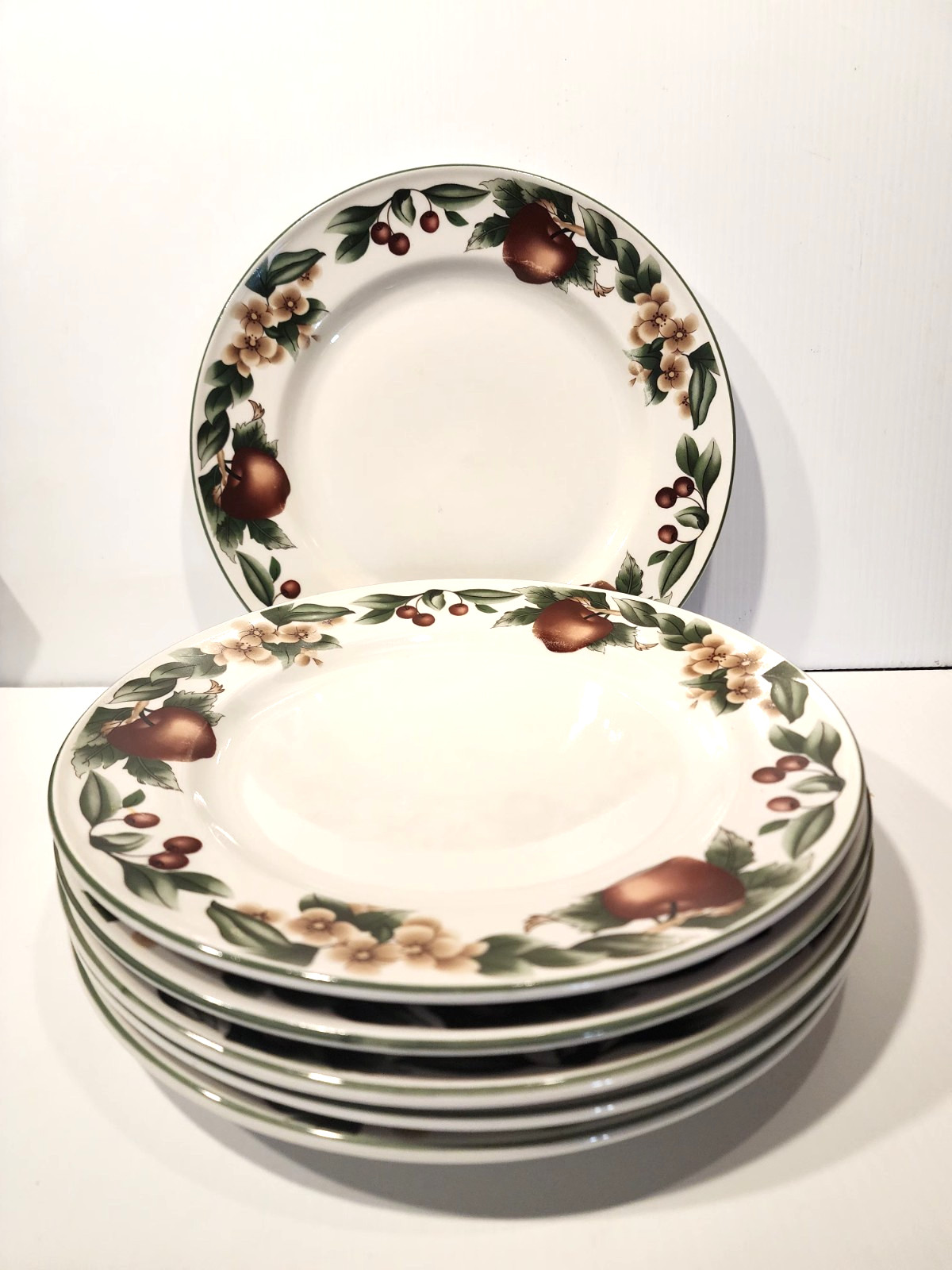 The Cades Cove Collection By Citation Dinner Plates 10.5” Each EUC  (6)