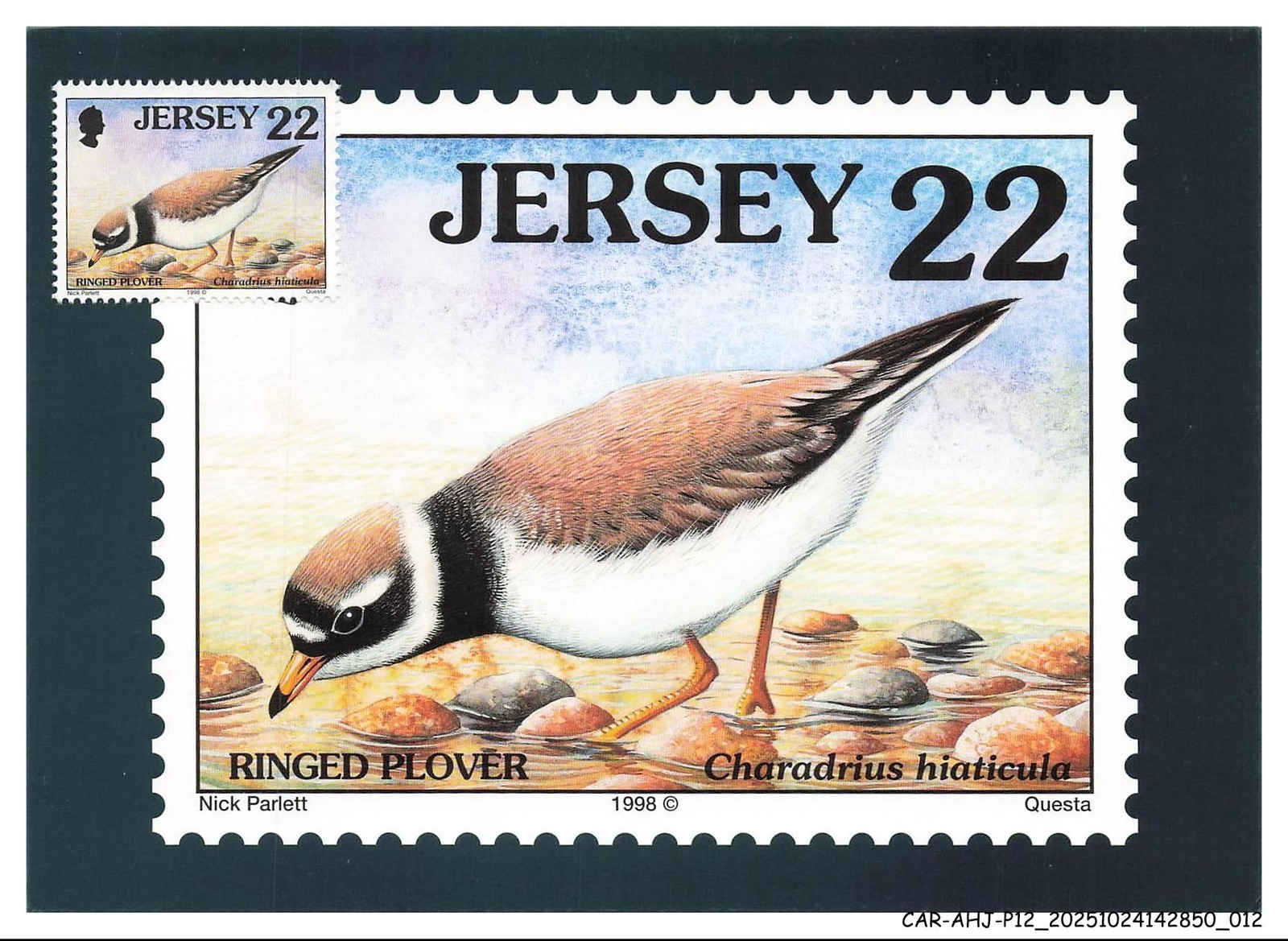 CAR-AHJP12-0521-CARD - MAXIMUM - JERSEY - Charadrius Hiaticula - 1998