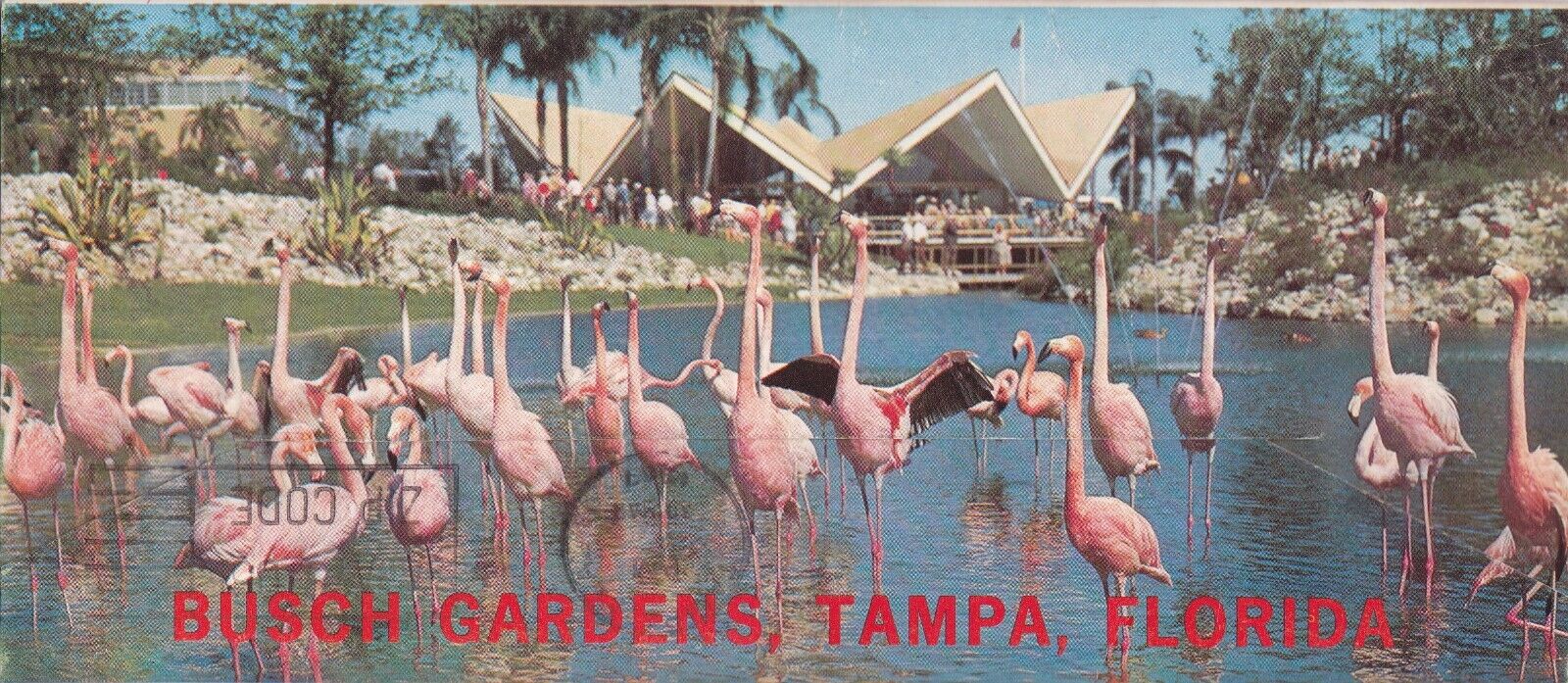 1967 Busch Gardens Tampa Florida Color Photo Card Folder