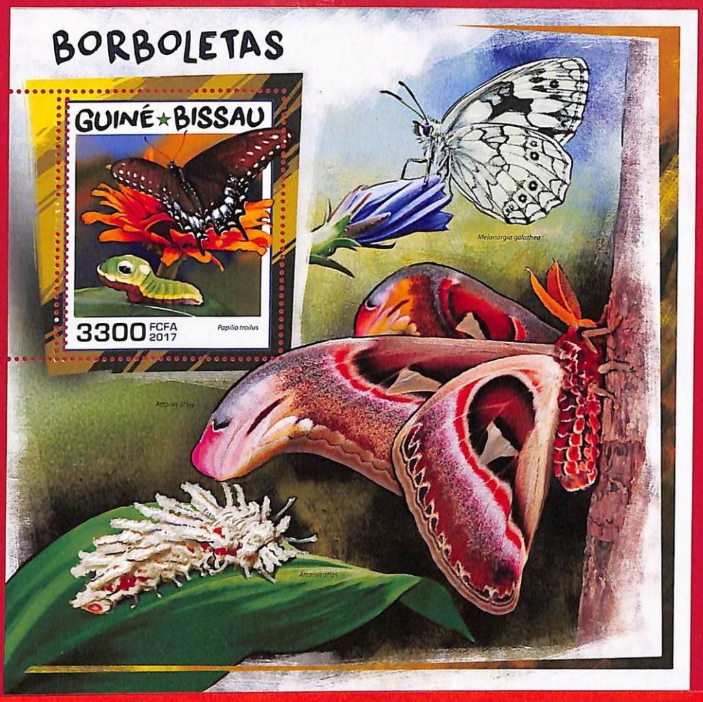 A5319 - GUINE-BISSAU - ERROR MISPERF Stamp Sheet - 2017 - Butterflies